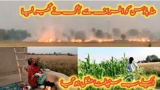 Mud House Ko Aag Ne Ghear Lia || Akelay Sab Sanbhalna Parra || Village Vlog 