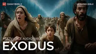 🔴 LIVE - Book of Exodus - Multi Voice Bible Experience | Strength & Inspiration (KJV)