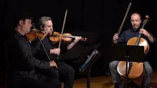 Summer Performed by the Hausmann Quartet