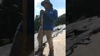Los techeros bailando
