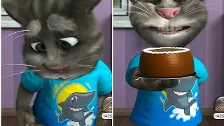 my talking tom my cat always ready to fun just for tom