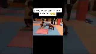 #zevs