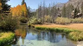 Bishop Creek Canyon Fall Color 2020
