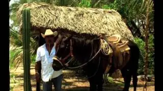 C2C-TEASER-600x340.mov