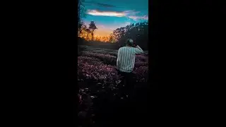 WANDERLUST 🌍| Whatsapp Status | Travel Video |