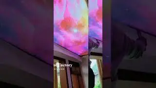 3D STRETCH CEILING#stretchceiling #homedecor #ceilingdesign #homedesign #ceilingart #modernceiling