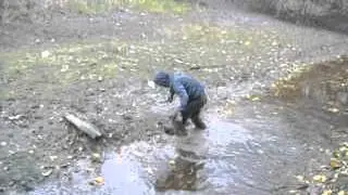 MOV04223