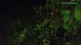 NIGHT FISHING, THREE FISHING POINTS STILL NO FISH