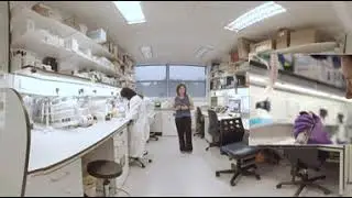 Dr Jacqui Sheilds' lab (360 view)