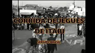 Corrida de Jegues de Itabi