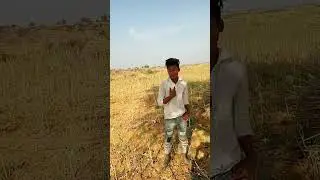 paga munda
