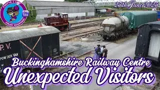 Unexpected visitors at Buckinghamshire Railway Centre - Summer 2025
