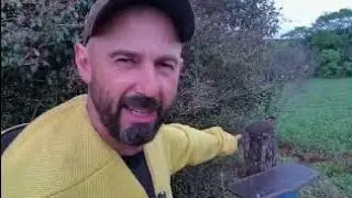 O melhor lugar pra capturar abelhas 🐝 🐝 🐝 