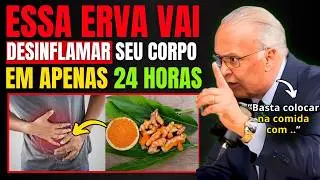 IDOSOS: Esse CH&Aacute; ANTI-INFLAMAT&Oacute;RIO ALIVIA DOR e FORTALECE as PERNAS Enquanto Dorme | Dr Lair Ribeiro