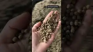 Floating feed extruder, floating fish feed machine, making cat food and dog food, floating fish feed