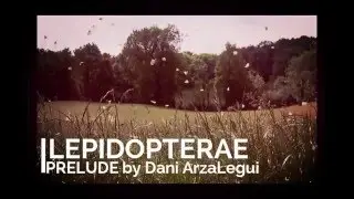 Preludio Lepid&oacute;ptero (Cansancio)