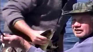 Savant Lake 1998