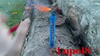 Lupo 18