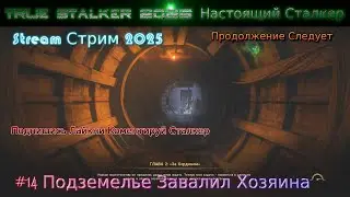 True Stalker 2025 Настоящий Сталкер Stream Стрим Полное Прохождение #13 Подземелье Завалил Хозяина