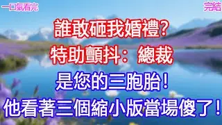 「誰敢砸我婚禮？」特助顫抖：「總裁，是您的三胞胎！」他看著三個縮小版當場傻了！ #甜寵文 #愛情 #爽文 #故事分享