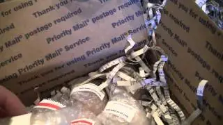Buying eggs off Ebay