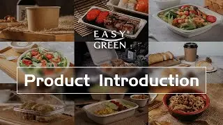 Biodegradable Pulp 500ml Round Tableware Ramen Noodle Paper Takeaway Disposable Bowl With Lid