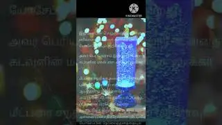 Advent season Week - 4 /  திருவருகைக் காலம் 4வது வாரம் ஒரே அன்பின் மழை தான் ...