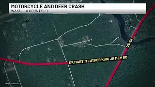 FHP: Crawfordville motorcyclist hospitalized after deer collision in Wakulla County