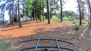 Bird videos back to back