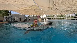 Dolphin Therapy Land ( Hugo )