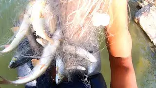 Amazing Fishing at Local River - India Traditional Fishing - Gill Net Fishing (Vlog05) || MrPKR [HD]