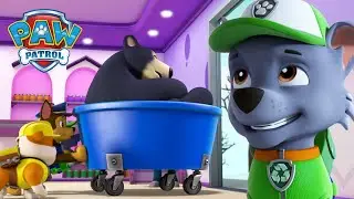 Pups rescue a sleeping bear family and more animals! | PAW Patrol | Cartoons for Kids Compilation