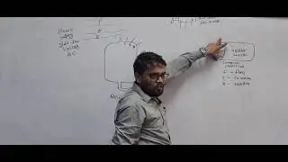 Compressor and fan motor wiring with combined capacitor 