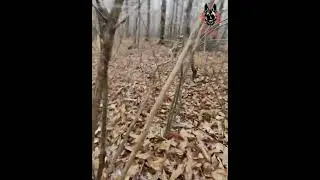 Piste avec des nouvelles lunettes et caméra intégrée 