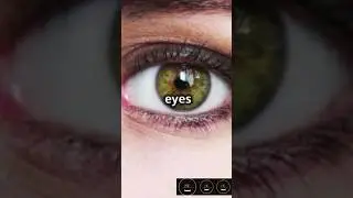 What Your Eye Color Reveals About You! 👁️ Personality Traits Explained