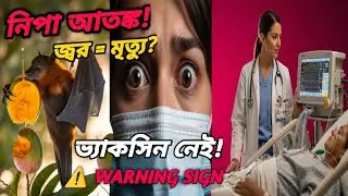 জ্বর হলেই কি নিপা? ভ্যাকসিন নেই, মৃত্যুহার ৭৫%! কী খাবেন না | Nipah Virus Bengal Alert