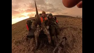 Охота на фазанов с моим лучшим другом