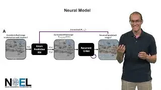 Feedback-correcting ConvLSTM-driven Neural Model for Stable Saccadic Visual Perception