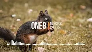 WonderSh - Feel great [ Vlog No Copyright Music ]