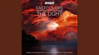 The Light (Troy Gunner Remix)