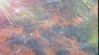 Have you ever seen the rain?