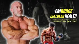 EMBRACE CELLULAR HEALTH THE POTENTIAL OF FOXO4 FOR AUTOPHAGY AND ANTI-AGING
