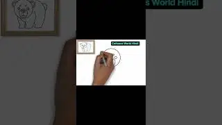 Teach you how to draw a polar bear_land animal video #drawingforkids #doodleart #scribbleart