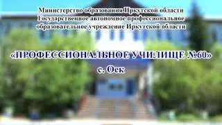 Профессии ПУ №60 2020