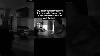 #cat