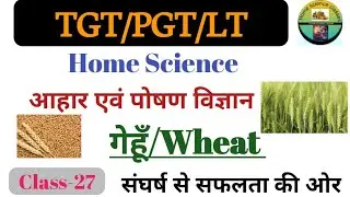 TGT/PGT/LT Home Science | Nutrition Science | Wheat/गेहूँ | Class-27 | Home Science Classes