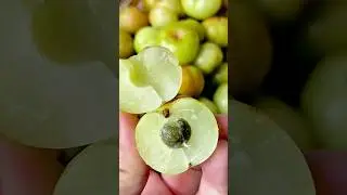 Mind Blowing Facts About Food 😱 Amazing Facts In Hindi | #shorts #factsinhindi