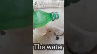 Awesome Technique _Propagate Aloevera Fruit and Mango Together/ How To Growing onion and Mango