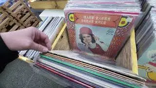 NEW ARRIVALS BINS - Record Collectors Paradise - November 21, 2025