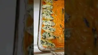 Food clipd pasta shells